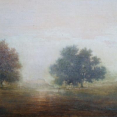 Brume du matin